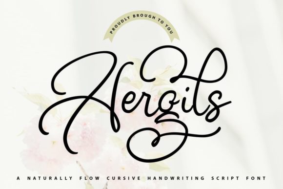 Aergils: The Font That Elevates Your Brand
