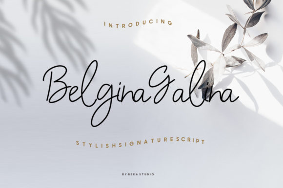 Belgina Galina: A Refined Script Font for Editorial Elegance