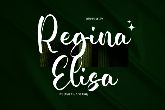 Regina Elisa: A Script Font with Soul for Branding and Design